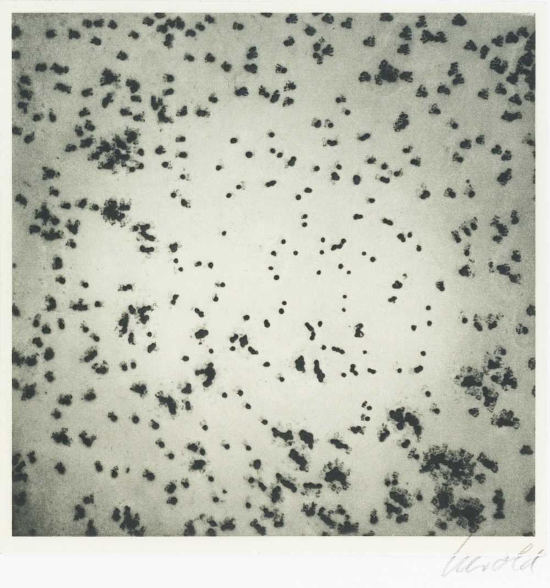 Georg Herold (1947 Jena - lebt in Köln) - Bild 3 aus 6