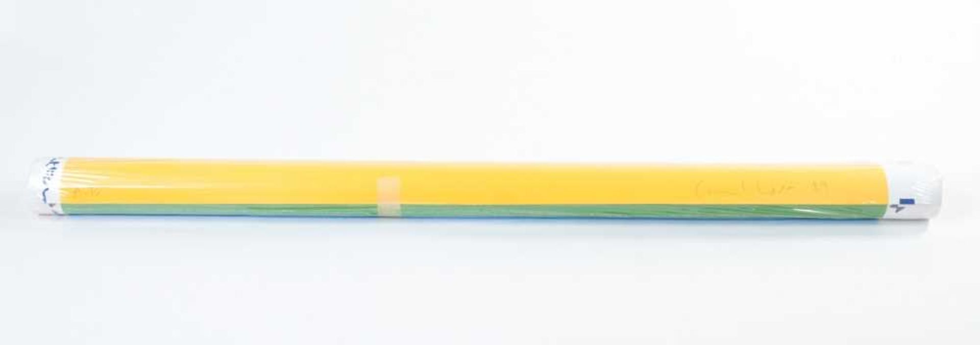 General Idea (Kanada 1967 – 1994)