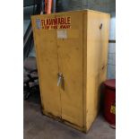 Flame-Tamer 55-Gallon Flammable Liquid Storage Cabinet