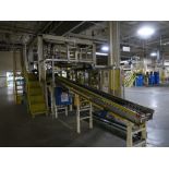 CD Robotics Zip Code Loose Lift Palletizer/Stretch Wrapper