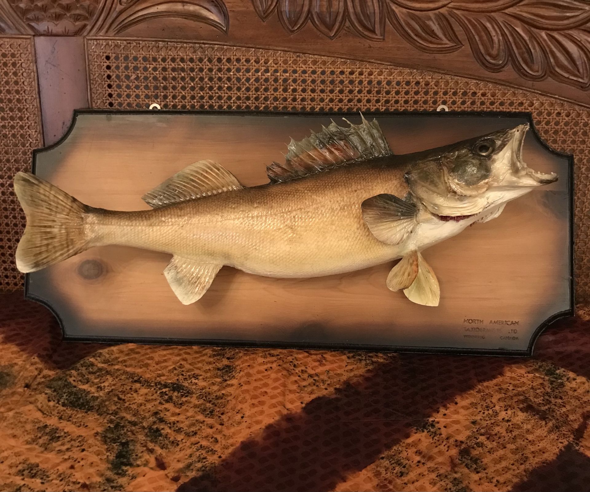 LARGE MOUTH BASS MOUNTED