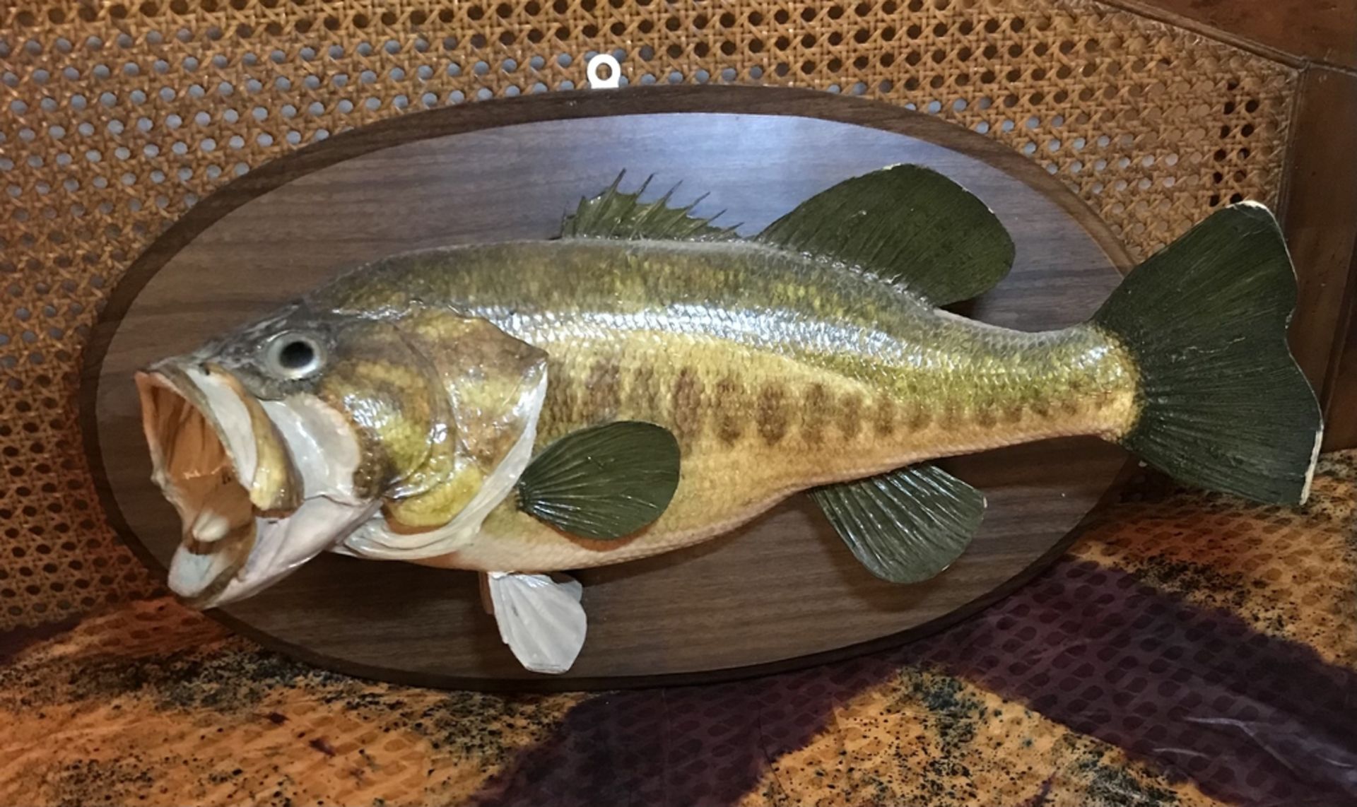 LARGE MOUTH BASS ON WOOD PLAQUE Taxidermy