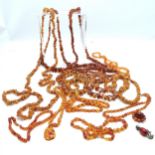 Qty of amber jewellery inc necklaces (longest 180cm) etc ~ total weight of lot 873g