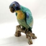 Large continental hand painted figure of a parrot on a branch with glass eyes 30cm high. Has old