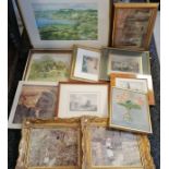 11 x framed paintings + prints - largest 45cm x 56cm