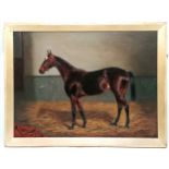1905 dated framed & signed (monogram) oil on canvas painting of a race horse 'Hackless Pride' -