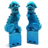 Pair of oriental Chinese blue glaze ceramic dogs of fo on plinths - 32cm high ~ no obvious damage