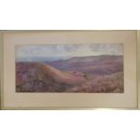 Framed signed watercolour painting of a heathland landscape - 40.5cm x 70cm