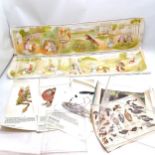 2 x 1952 dated Beatrix Potter friezes by Frederick Warne - 100cm long x 24cm high & both have
