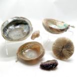 3 x abalone shells (largest 19cm x 16cm and has crack & chip), amethyst geode etc