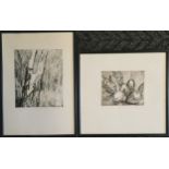 2 x framed Fay Foster engravings - 1981 Tree Portrait I (#2/10) & 1982 Loquats (#2/5) - largest