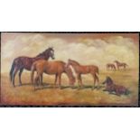 Oil painting on board of 6 horses by Frances Fry - 40cm x 76cm