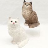 Beswick matt white cat number 1867, 21 cm high x 12 cm wide, t/w similar but different colourway.