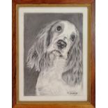 Framed mixed media pencil and charcoal portrait of a spaniel dog signed - 48cm x 37cm