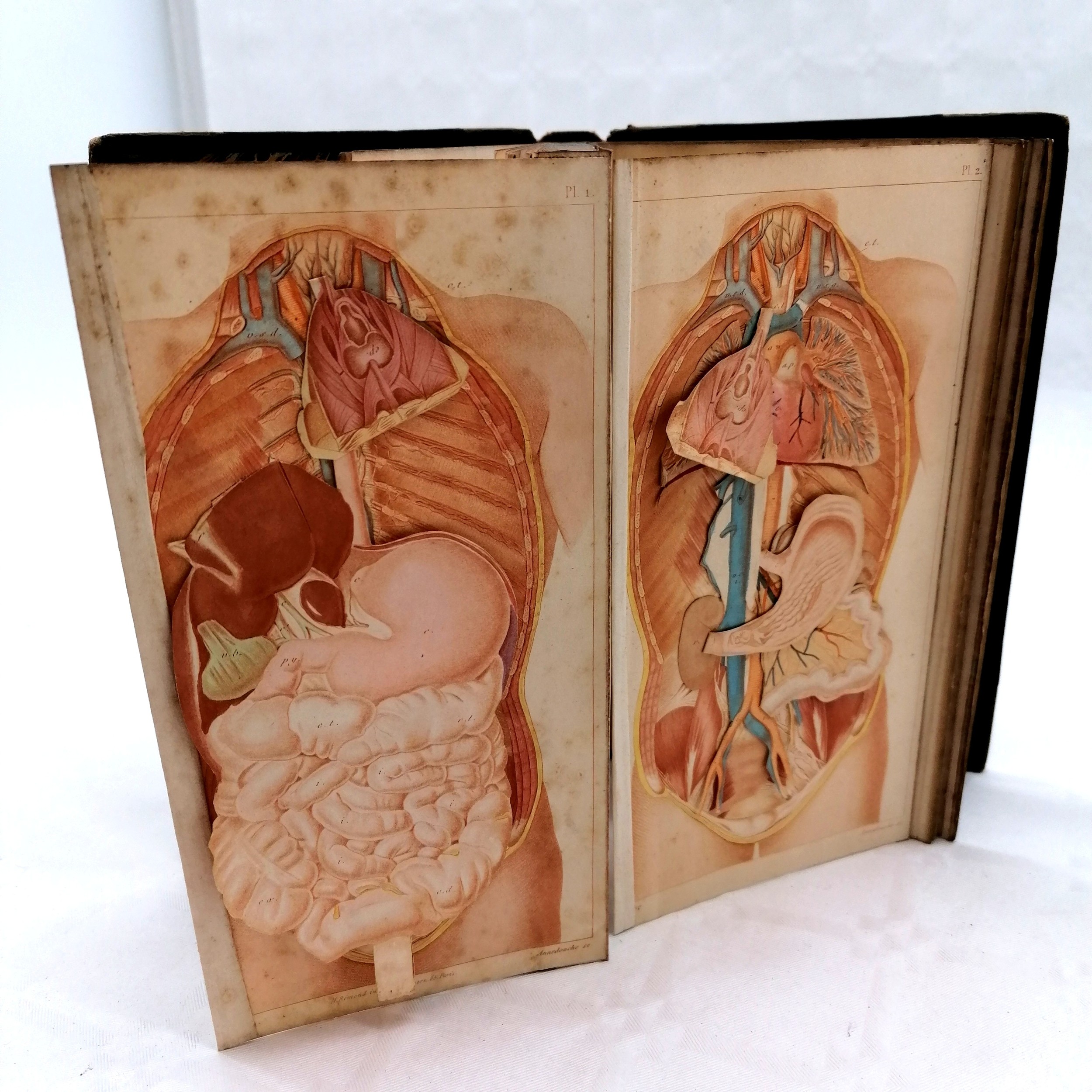 1877 French book 'Structure et Physiologie de l'homme' by Achille Comte (1802-66) complete with 6 - Image 4 of 6