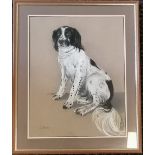 Framed pastel drawing of a sheep dog by Jo Dixon frame size 64cm x 53cm