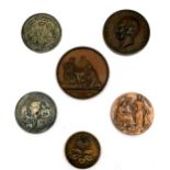 6 x presentation medallions inc Army medical school (Edmund Alexander Parkes), Dahlia society, 2 x