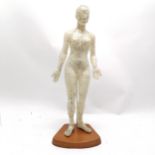Medical model showing Acupuncture points 48cm high- in good used condition