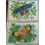 2 framed screen prints of butterflies- frame 41cm x 29cm