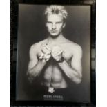 Framed print of Sting by Terry O'Neill ~ 85.5cm x 66.5cm - Gordon Matthew 'Sting' Thomas Sumner