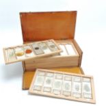 Antique microscope slide box with 12 trays (with 2 trays filled with sample slides) - 21cm x 11cm