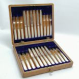 1907 silver and mother of pearl fruit set in original oak case (with key) by Allen & Darwin -