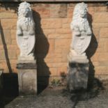 Pair of seated lions with shields on 2 part square plinths - lions 86cm high, total height 132cm