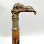 Antique ebonised walking cane with bronze handle depicting a recumbent lion 84cm long- losses to the