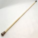 Antique marine ivory walking cane in 3 sections with silver hallmarked handle 84cm long