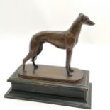 Antique bronze study of a greyhound on a wooden plinth - 25cm high x 25cm across