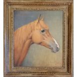 Maurice Tullock framed oil painting on canvas of a horse 'Crocket' by Maurice Tullock (1894-