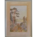 Framed watercolour painting of trees and St Martha's Hill by Tom Hunn (1857-1928) - frame 47.5cm x