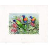 Mounted print of 3 rainbow lorikeets by Rhonda N Garward - mount 20cm x 25.5cm