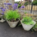 Pair of circular planters - 38cm high x 65cm diameter