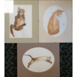 3 x mounted watercolour paintings of cats - mount 30cm x 24cm