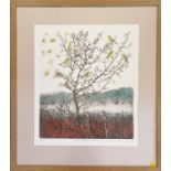 Framed etching 'Yellowhammer morning' signed by Julia Manning - frame 55cm x 49cm