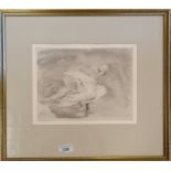 Framed watercolour painting of a swan - frame 39cm x 44cm