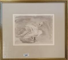 Framed watercolour painting of a swan - frame 39cm x 44cm