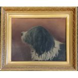 Framed oil painting on board of an Old English Sheepdog signed (H Gow?) and dated 99 - gilt frame