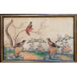 Antique framed Chinese hand painted rice paper painting of birds- 31.5cm x 21.5cm- Has damage to the