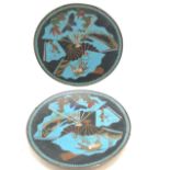 Pair of antique Chinese cloisonne wall chargers with decorated fan detail on blue and black ground -