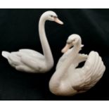 Lladro Swan 20 cm wide, 19 cm high, t/w another 23 cm high, both good condition.