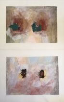 Pair of signed mixed media paintings 'Sensory' on paper - 75cm x 97cm