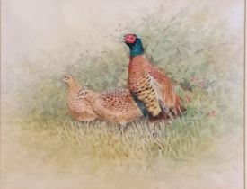 Watercolour painting of 3 pheasants by M Alford - frame 52cm x 60cm