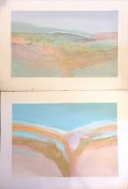 Pair of mixed media paintings 'Geodesic' on paper - largest 80cm x 103.5cm