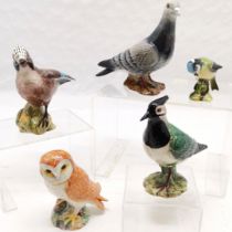 Collection of Beswick birds, to include Pigeon 1383,15 cm high, Jay 2417, Lapwing 2416 A/F, & 2