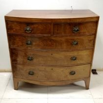 Antique mahogany bow fronted chest of drawers with 2short drawers over 3 long drawers with fish bell