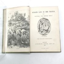 1887 book - Winged life in the tropics by Dr G Hartwig