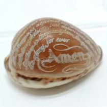 Antique hand carved cowrie shell with Lords prayer - 9cm