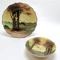 2 x Royal Doulton woodland bowls - largest 23.5cm diameter & some signs of wear otherwise no obvious